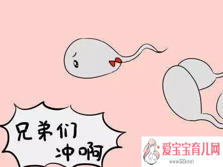 怀孕4周香港验血,备孕饮食清单男孩